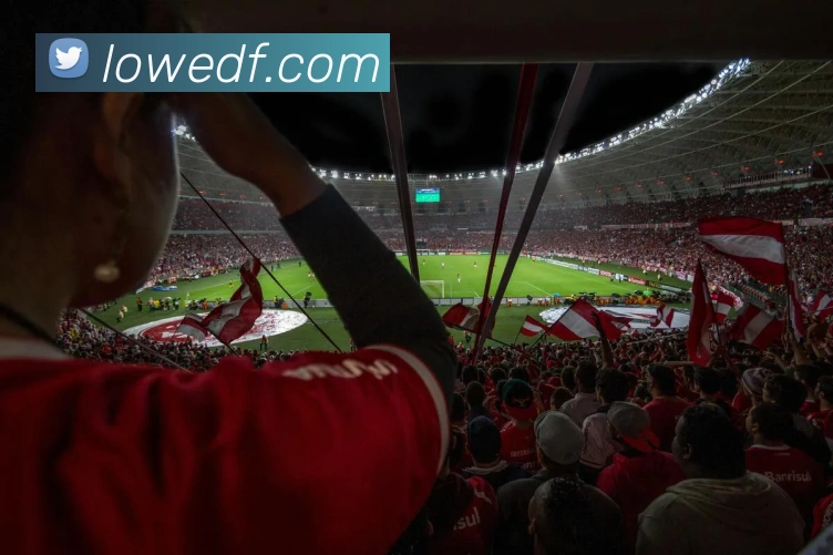 巅峰国际发展历程